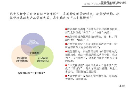 新组织设计管理咨询项目建议书