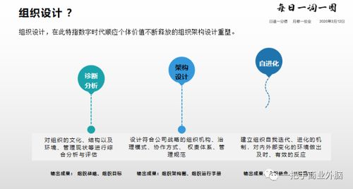 手把手教你做好组织设计