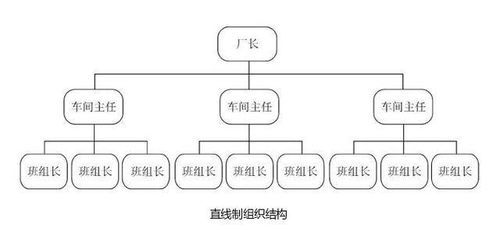 组织设计需要考虑的五个因素