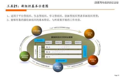 新组织设计工具大全 2021年