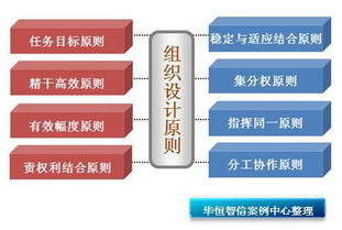 组织结构设计与优化