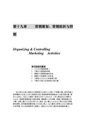 营销策划与营销组织类型