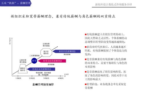 新组织设计教练式咨询服务介绍